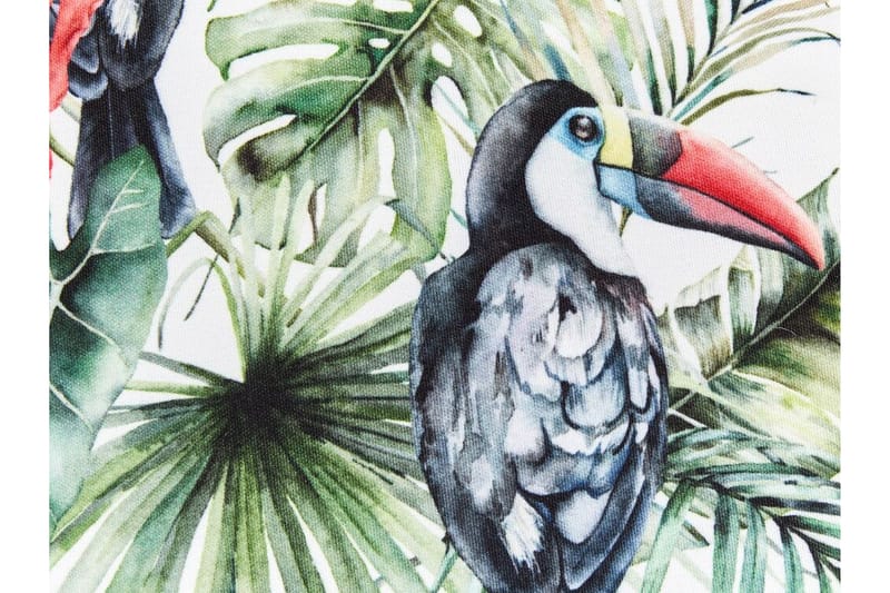 Padua Utomhuskudde 40 cm Rund - Grön/Röd/Svart - Textil & mattor - Filtar, kuddar & plädar - Utekudde