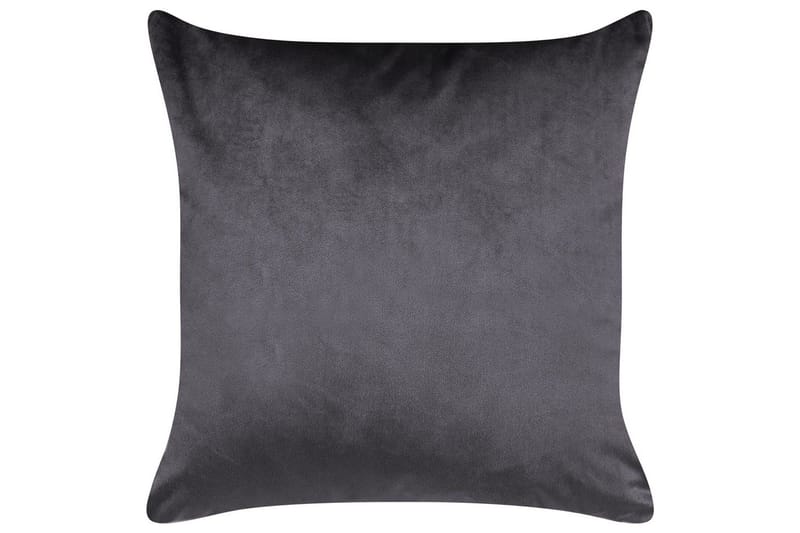 Prydnadskuddar Alyssum set om 2 Grå/guld, Sammet - Grå/guld, Sammet - Textil & mattor - Filtar, kuddar & plädar - Utekudde