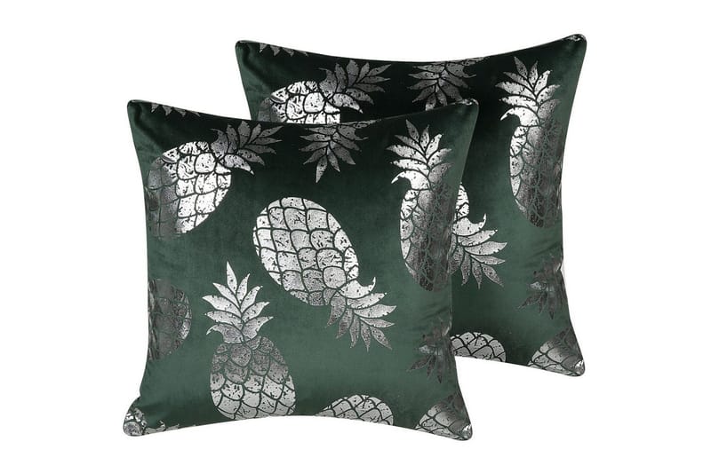 Prydnadskuddar Astilbe set om 2, undefined