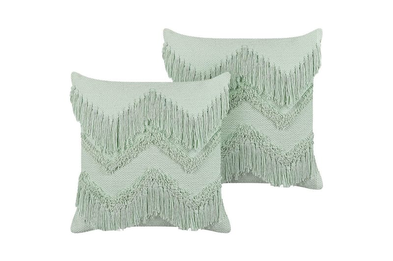 Prydnadskuddar Bacopa set om 2, undefined