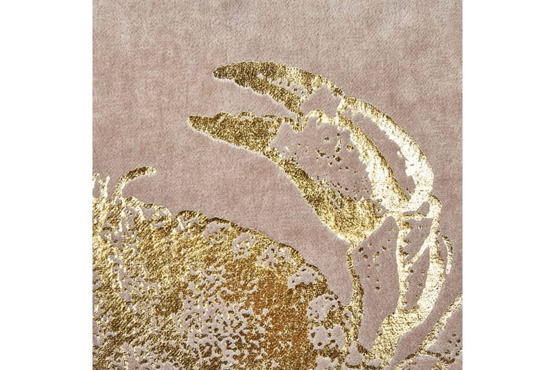 Prydnadskuddar Bossiella set om 2 Beige/guld - Beige/guld - Textil & mattor - Filtar, kuddar & plädar - Utekudde