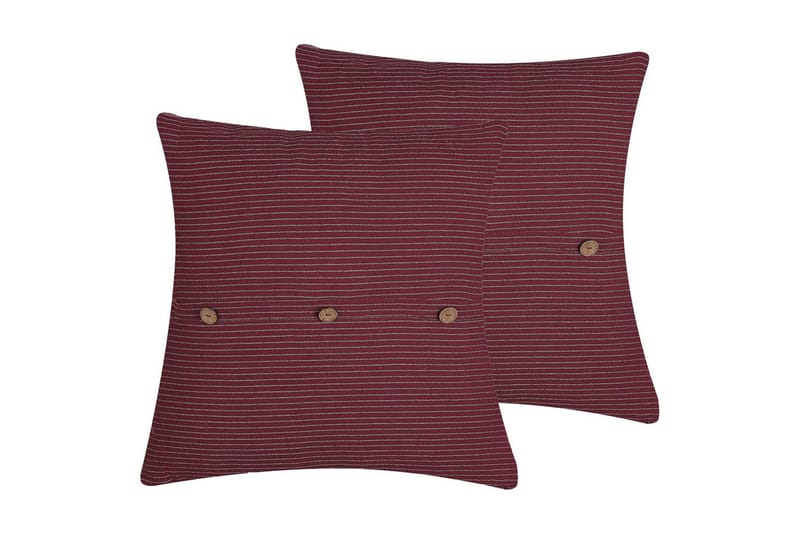 Prydnadskuddar Campanula set om 2, undefined