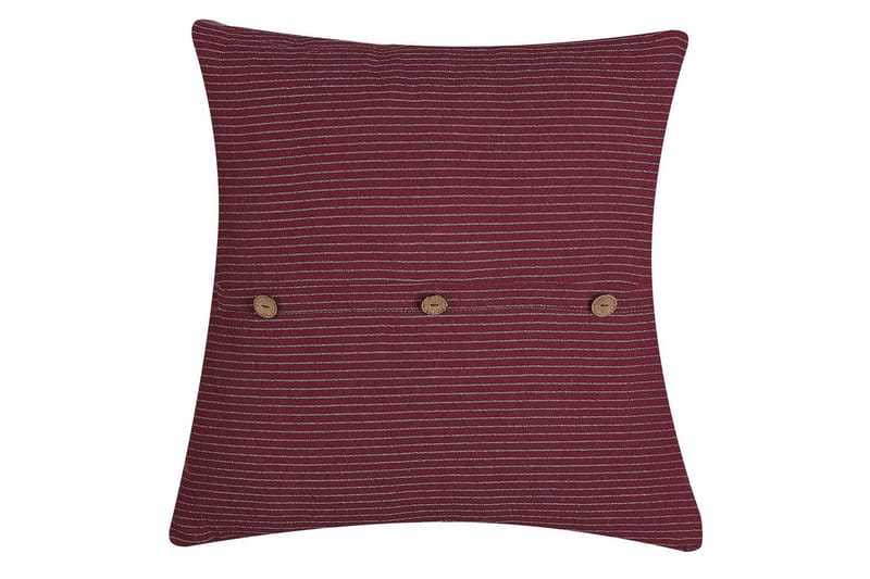 Prydnadskuddar Campanula, undefined