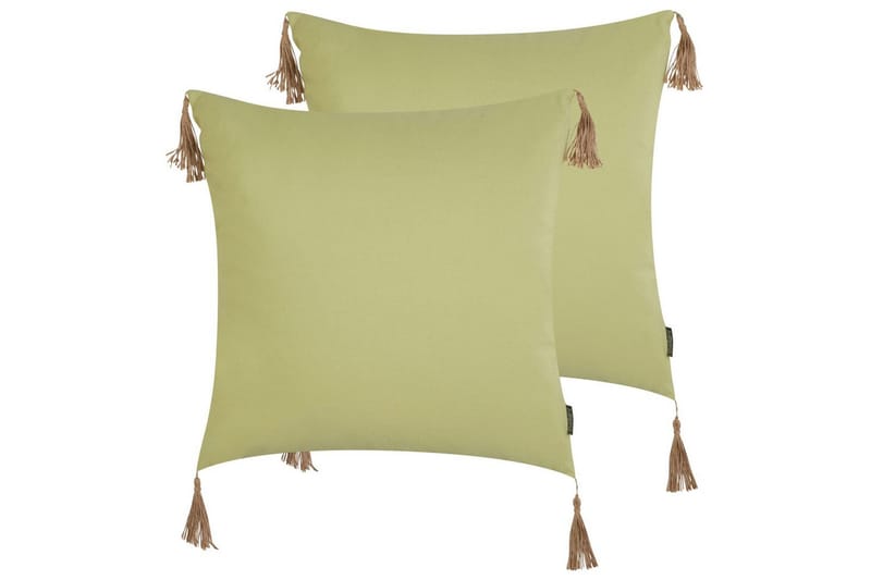 Prydnadskuddar Chmistar set om 2, undefined