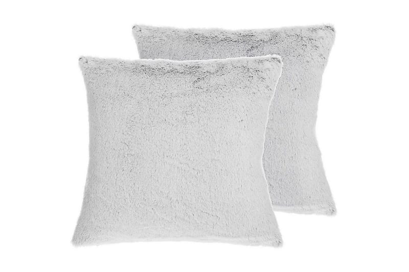 Prydnadskuddar Clematis set om 2, undefined