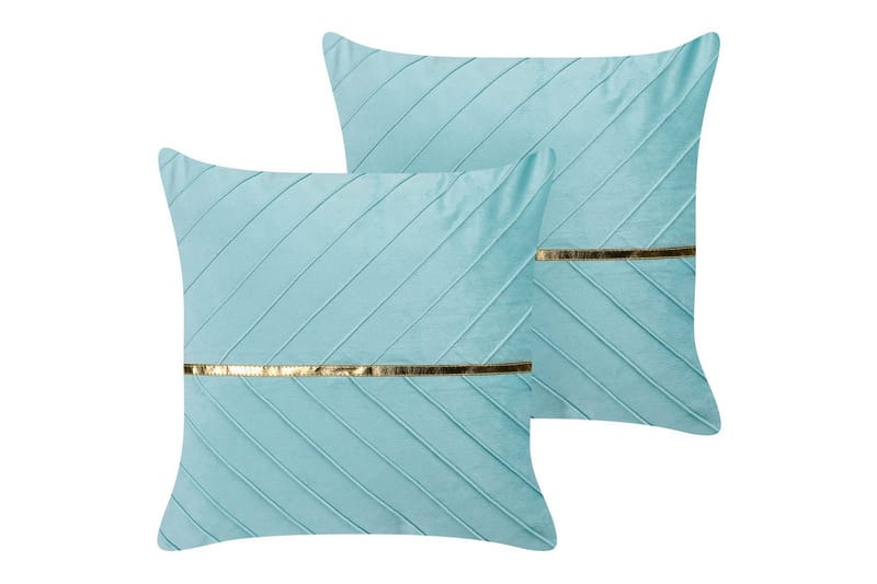 Prydnadskuddar Coneflower set om 2, undefined