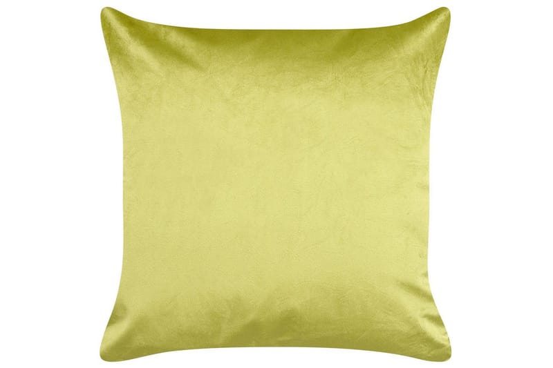 Prydnadskuddar Deliciosa set om 2 Ljusgrön/guld - Ljusgrön/guld - Textil & mattor - Filtar, kuddar & plädar - Prydnadskudde & kuddfodral