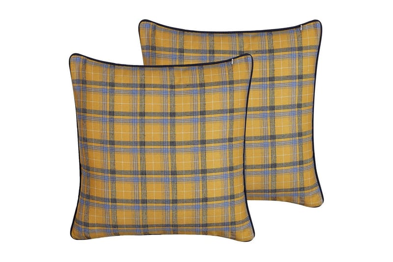 Prydnadskuddar Dicentra set om 2, undefined