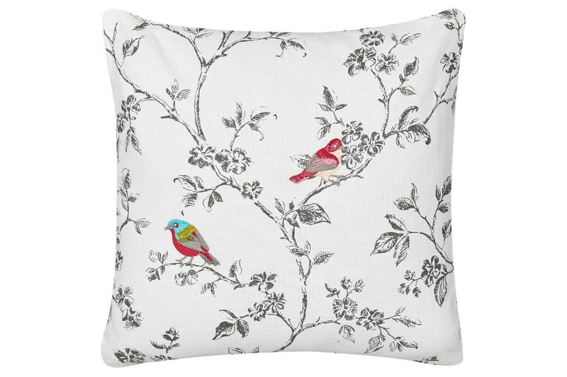 Prydnadskuddar Dillenia, undefined