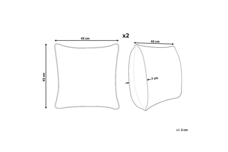 Prydnadskuddar Dorstenia set om 2 - Textil & mattor - Filtar, kuddar & plädar - Prydnadskudde & kuddfodral