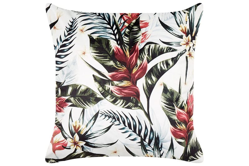 Prydnadskuddar Edelweiss, undefined