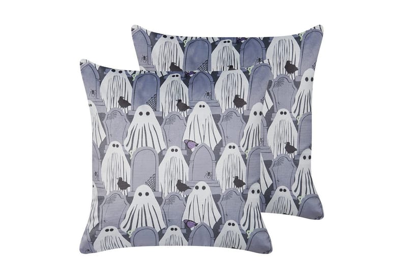 Prydnadskuddar Fanate set om 2, undefined