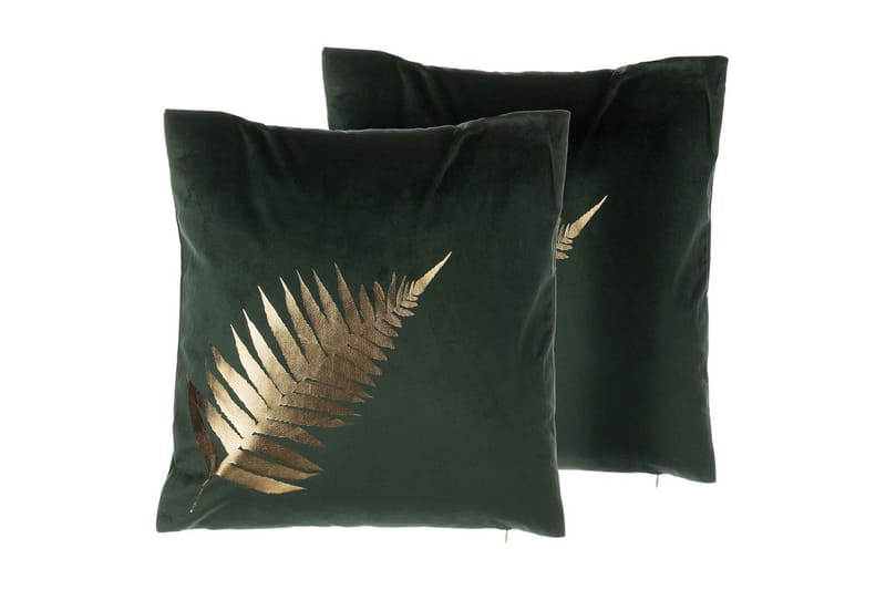 Prydnadskuddar Fern set om 2, undefined