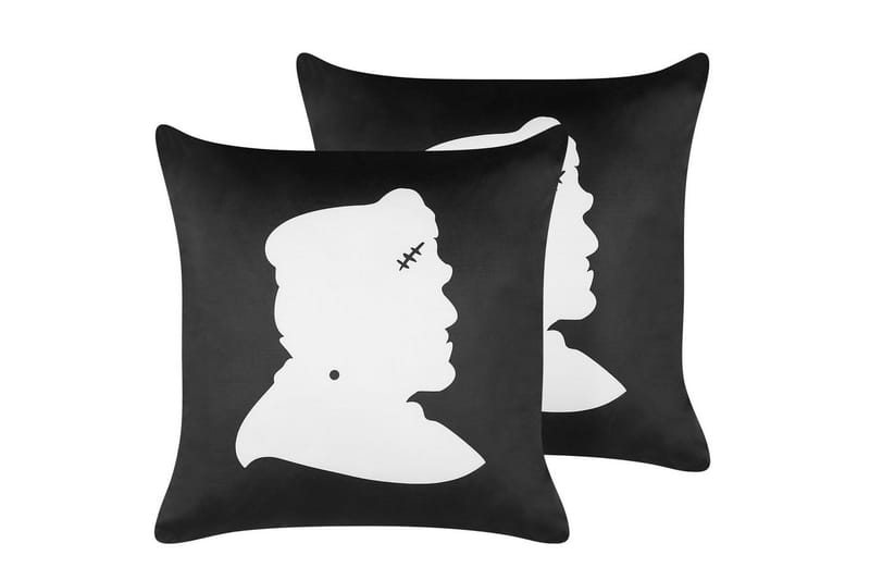 Prydnadskuddar Franklinia set om 2, undefined