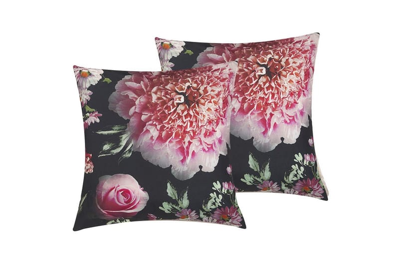 Prydnadskuddar Hedera set om 2, undefined