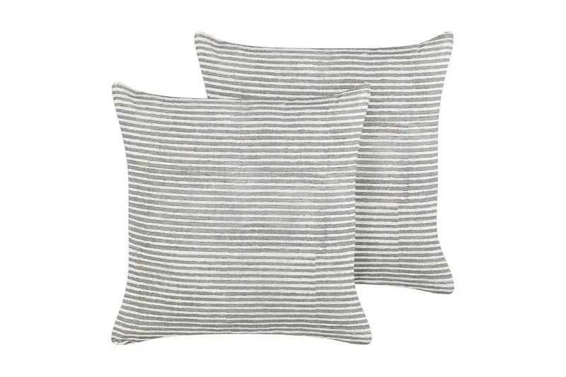 Prydnadskuddar Kanpas set om 2, undefined