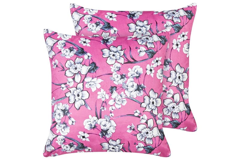 Prydnadskuddar Koeleria set om 2, undefined