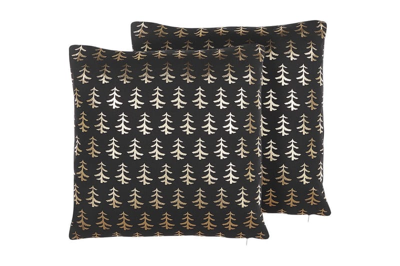 Prydnadskuddar Leroy set om 2, undefined