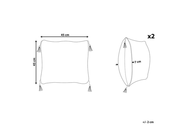 Prydnadskuddar Liriope set om 2 Fyrkantig - Fyrkantig - Textil & mattor - Filtar, kuddar & plädar - Prydnadskudde & kuddfodral