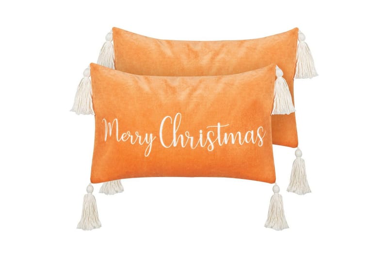 Prydnadskuddar Lithops set om 2, undefined