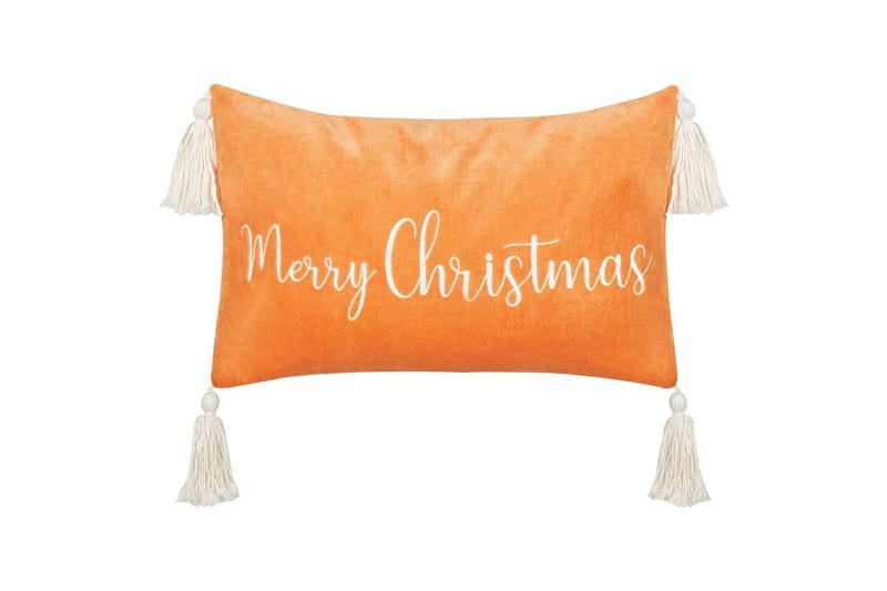 Prydnadskuddar Lithops, undefined