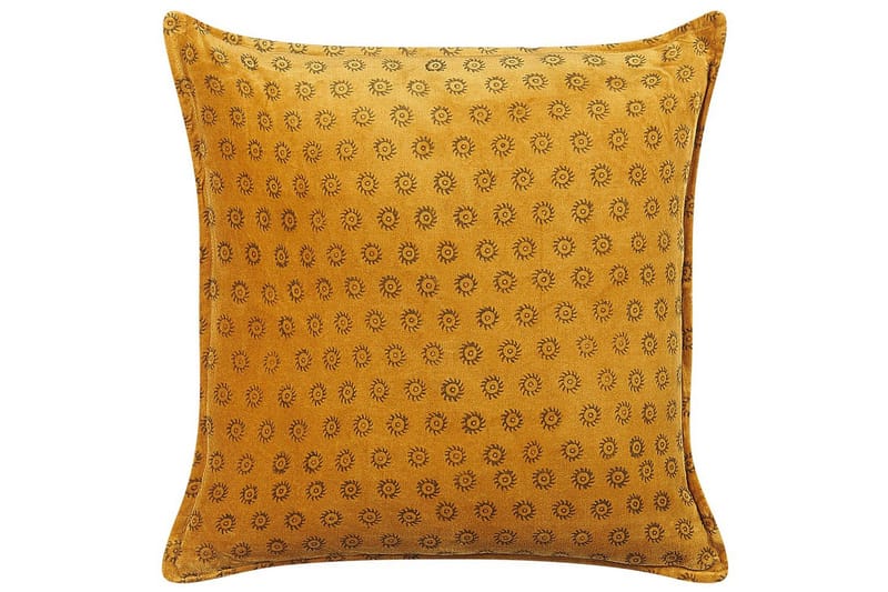 Prydnadskuddar Rapis, undefined