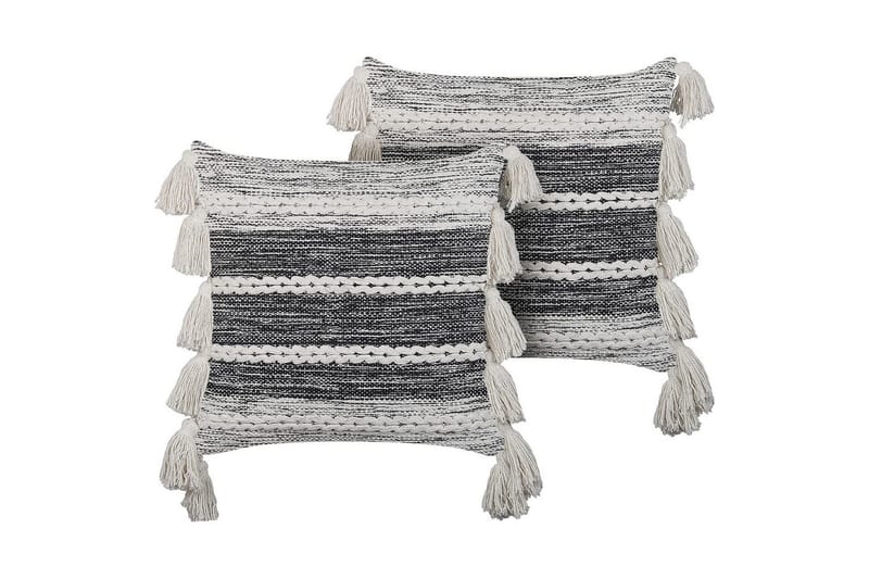 Prydnadskuddar Rochea set om 2, undefined