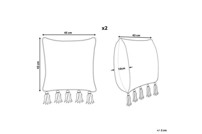 Prydnadskuddar Sambucus set om 2 - Textil & mattor - Filtar, kuddar & plädar - Prydnadskudde & kuddfodral