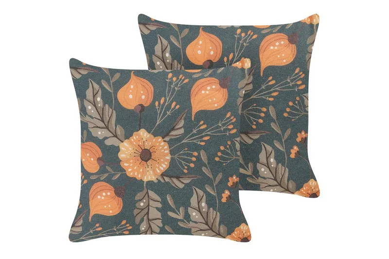 Prydnadskuddar Sotol, undefined