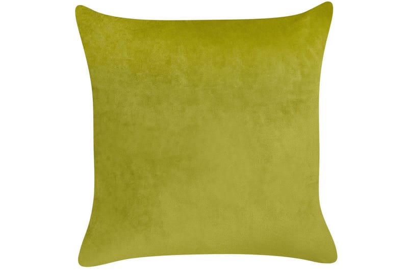 Prydnadskuddar Yuzuri set om 2 Ljusgrön/guld - Ljusgrön/guld - Textil & mattor - Filtar, kuddar & plädar - Prydnadskudde & kuddfodral