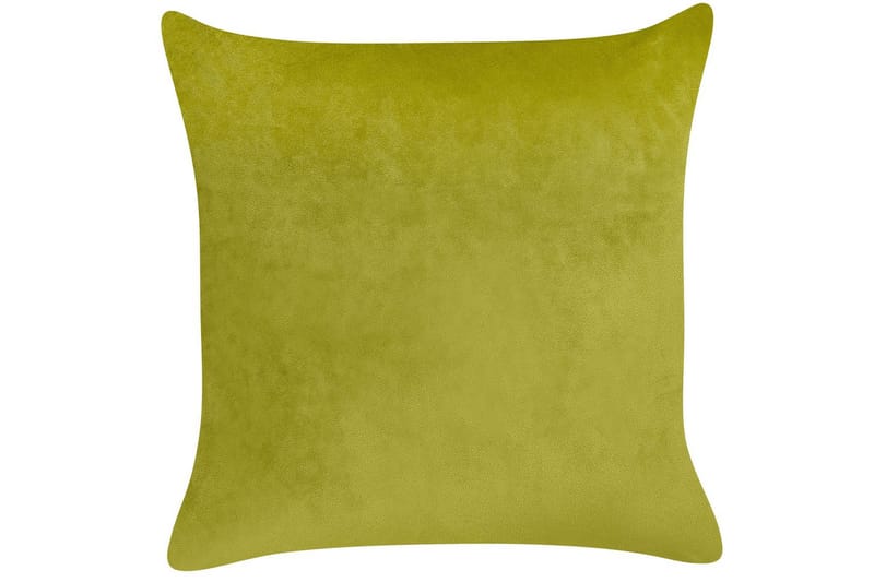 Prydnadskuddar Yuzuri set om 2 Ljusgrön/guld - Ljusgrön/guld - Textil & mattor - Filtar, kuddar & plädar - Prydnadskudde & kuddfodral