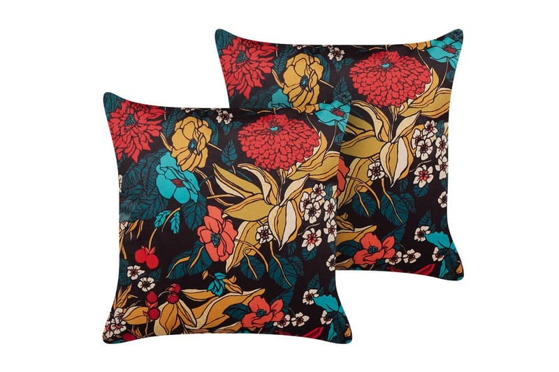 Prydnadskuddar Protea set om 2, undefined