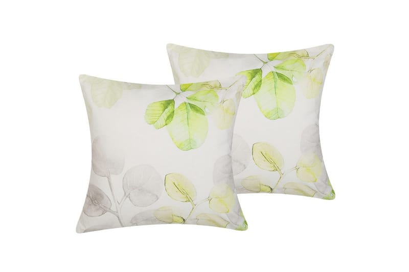 Prydnadskuddar Peperomia set om 2, undefined