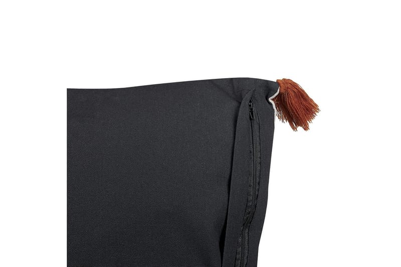 Prydnadskuddar Panax set om 2 - Textil & mattor - Filtar, kuddar & plädar - Prydnadskudde & kuddfodral