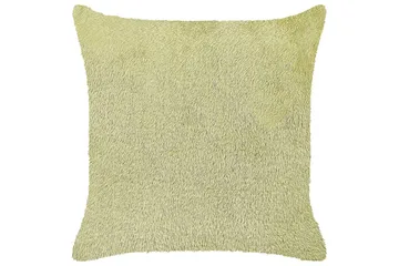 Prydnadskuddar Pilea Grön