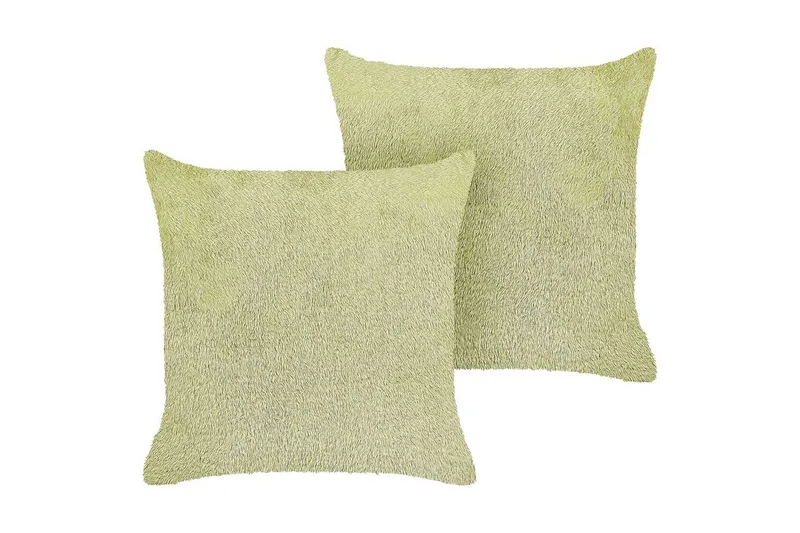 Prydnadskuddar Pilea set om 2 Grön, Grön
