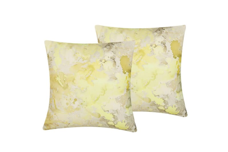 Prydnadskuddar Pachira set om 2, undefined