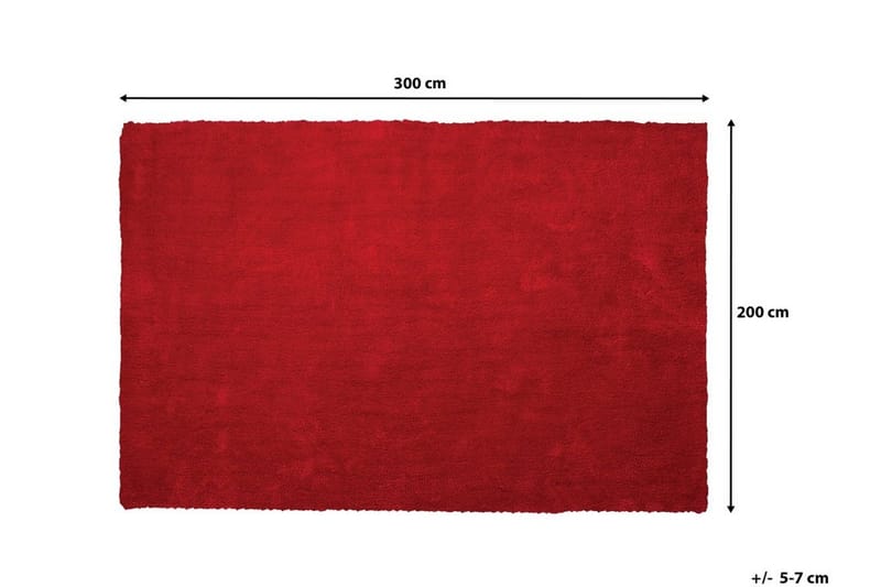 Demre Matta 200x300 cm - Röd - Textil & mattor - Mattor