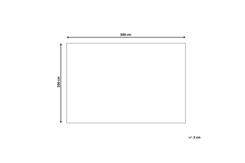 Matta Punge - 200x300 cm - Textil & mattor - Mattor - Flatvävda mattor
