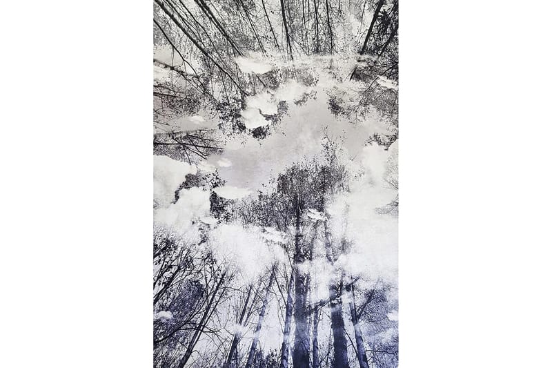 Homefesto Matta 100x150 cm - Multifärgad - Textil & mattor - Mattor - Modern matta - Friezematta