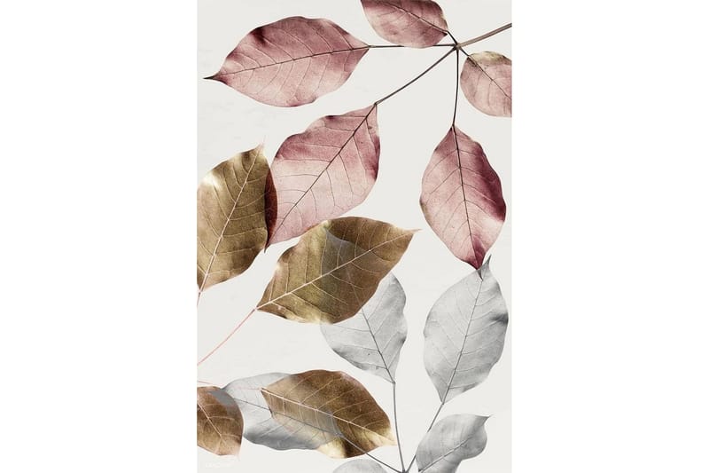 Homefesto Matta 120x180 cm - Multifärgad - Textil & mattor - Mattor - Modern matta - Friezematta