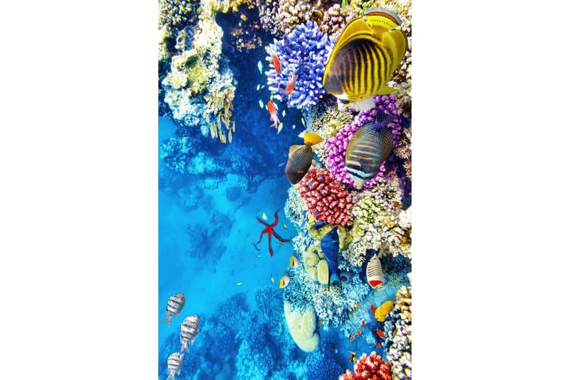 Nobuhiko Wiltonmatta 60x100 cm Rektangulär - Flerfärgad - Textil & mattor - Mattor - Modern matta - Friezematta