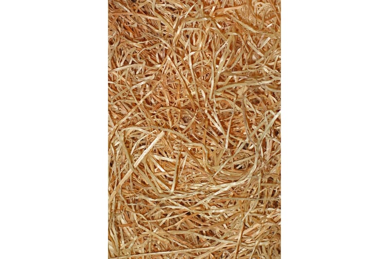 Nobuyuki Gångmatta 80x150 cm Rektangulär - Flerfärgad - Textil & mattor - Mattor - Modern matta - Gångmattor