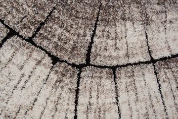 Ibiza Matta Rund 240 Tree - Grå - Textil & mattor - Mattor - Modern matta - Wiltonmattor