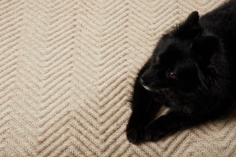 Loke Ullmatta 160x230 cm Rektangulär - Beige - Textil & mattor - Mattor - Modern matta - Ullmatta