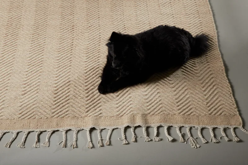 Loke Ullmatta 250x350 cm Rektangulär, Beige