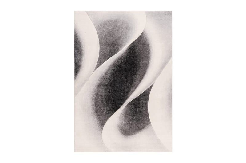 Maskinvävd Matta Brilliance Modern - 200x290 cm, Grey - Textil & mattor - Mattor - Modern matta - Wiltonmattor