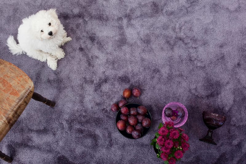 Satine Matta 80x300 cm Lila - Vm Carpet - Textil & mattor - Mattor