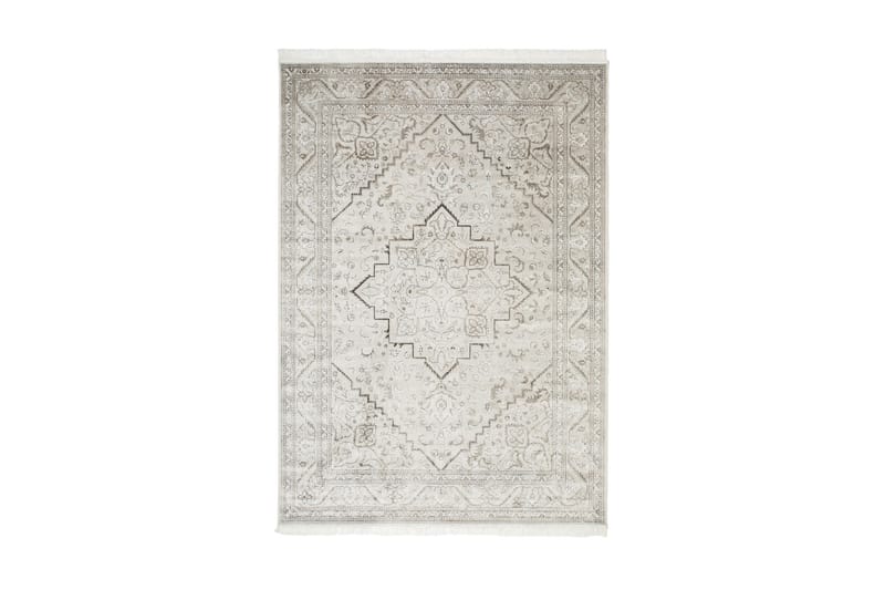 Breana Matta 200x300 - Silver - Orientaliska mattor - Persisk matta - Stora mattor