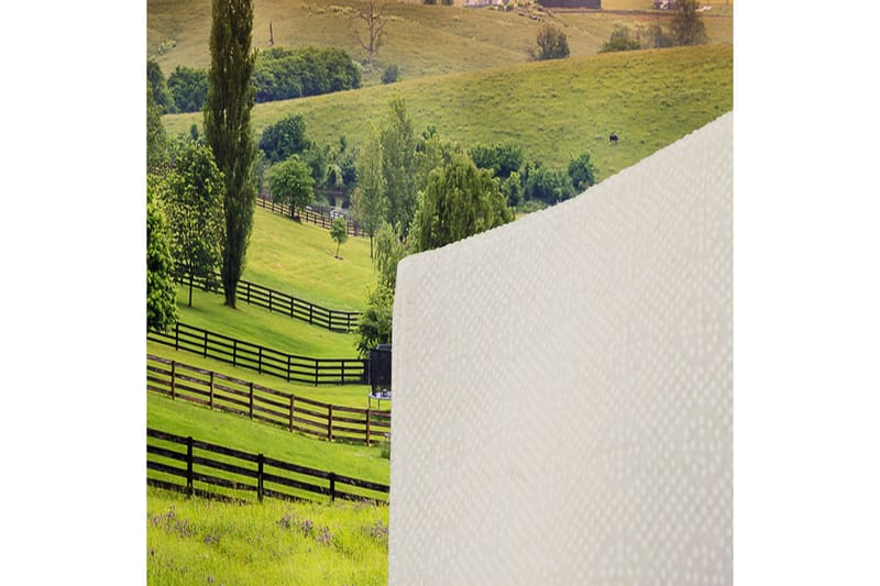 Homefesto Matta 100x150 cm - Multifärgad - Textil & mattor - Mattor - Orientaliska mattor